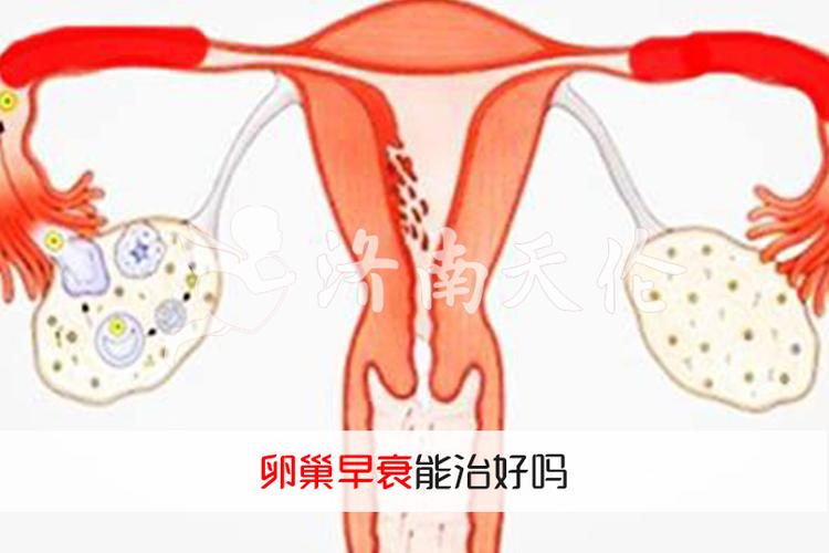 卵巢早衰会排卵吗(40岁卵巢早衰还有必要治疗吗)
