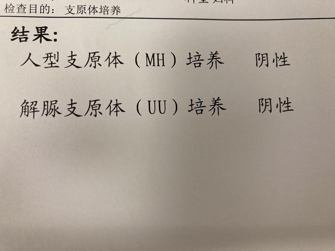 解脲支原体可以怀孕吗(解脲支原体要禁欲多久）