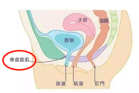 同房三天后该如何避孕(同房五六天了怎么避孕）