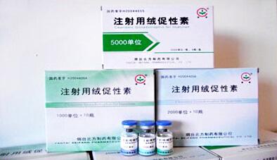 低促性闭经怎么怀孕(男性促性腺激素低）