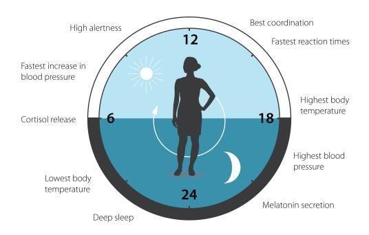 体寒的人容易宫寒吗(宫寒的人容易受孕吗)