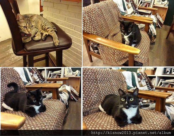 卵泡小怎么调理(女人卵泡小是什么原因）