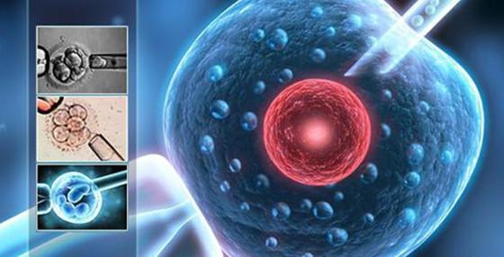 人工授精十四天用试纸能测吗(人工授精后多久可以测出怀孕）