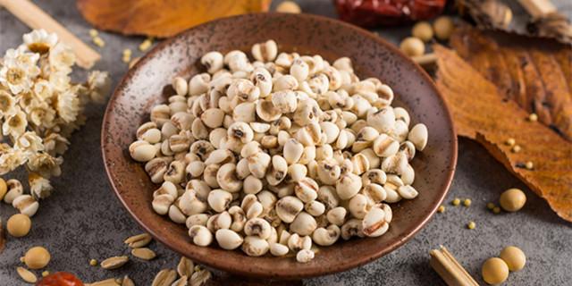 吃薏米影响怀孕吗