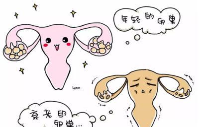 卵巢早衰会排卵吗(40岁卵巢早衰还有必要治疗吗)