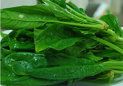 菠菜怎么吃可以治便秘(菠菜汤可以治便秘吗）