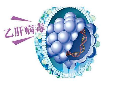 体检能查出乙肝吗(小三阳是什么病严重吗)