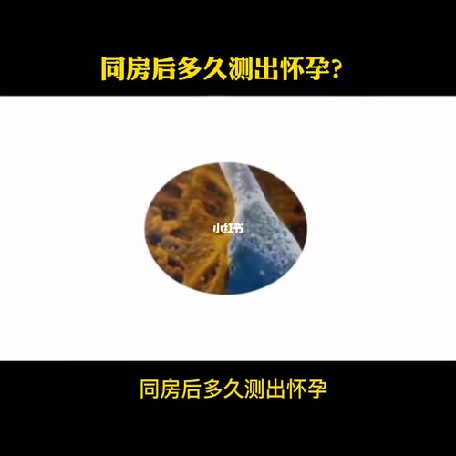 同房6天后还能避孕吗(同床过后多久能检测有没有受孕）