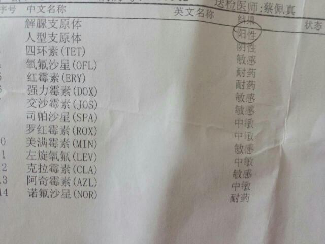 解脲支原体可以怀孕吗(解脲支原体要禁欲多久）