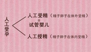 人工授精如何筛选精子一起揭秘原理操作(人工授精成功率多少）