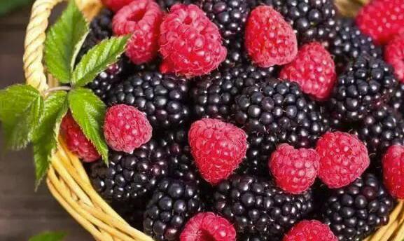 什么水果吃了补肾壮阳(哪些水果补肾）