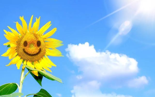 关于易孕体质和不孕体质,这些女性的现身说法,令人唏嘘无奈(什么体质的人怀孕不吐）