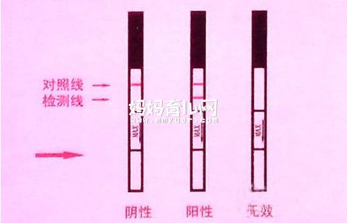 同房7天能测出怀孕吗(同房10天晨尿可以测出怀孕吗)