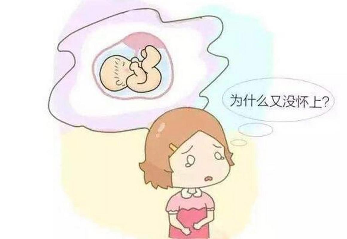 为什么怀孕那么难(一次就能怀上的概率）