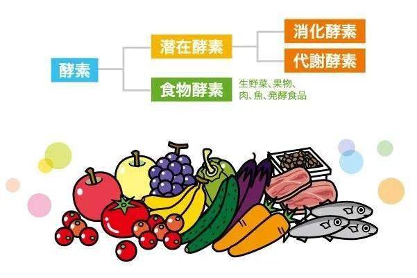 吃酵素真的有利于怀孕吗？小心食物中毒！(备孕能吃酵素吗）