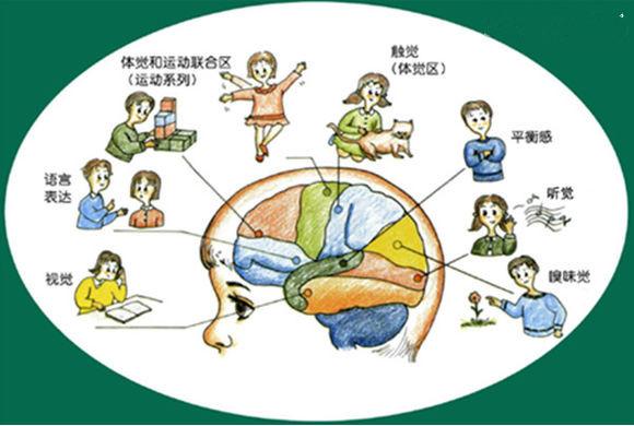 吃什么能促进怀孕(受孕成功的第一感觉）