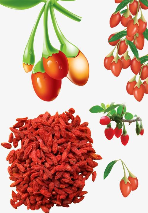 例假期间多吃什么食物好排除污血更好孕(女人来月经吃什么能排出污血)