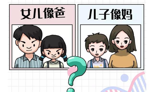 儿子一般都遗传妈妈吗(儿子的基因一般遗传谁）