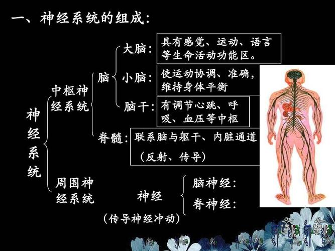 吃叶酸有助于怀孕吗(备孕吃了6个月叶酸有危害吗)