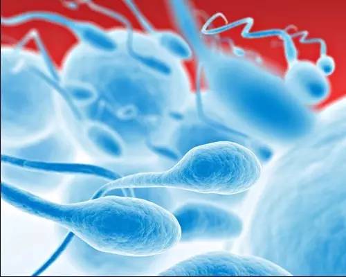 避孕最安全的方法是什么(最安全的避孕措施）