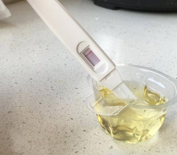 半夜3点的尿可以验孕吗(验孕棒要憋几个小时的尿最准）