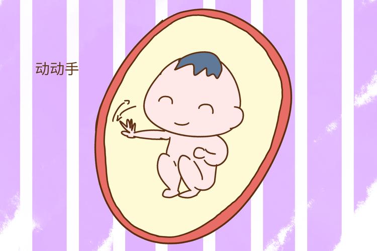 二胎孕前检查要什么时候做?10孕前检查项目知道吗?(生二胎孕前检查)