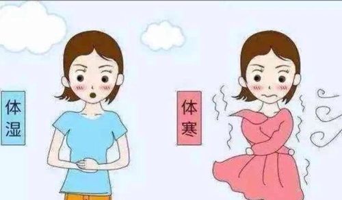 体虚体寒的人容易怀孕吗(女性体虚体寒怎么调理）