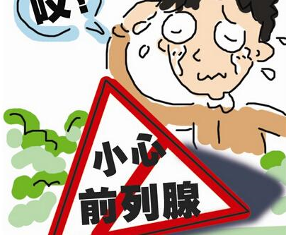 前列腺是男人的“生命腺”，想好孕就先保养它！(前列腺炎有生育能力吗）