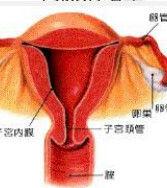 取环后会出血几天私处出血不要大意(取环后出血多是怎么回事）