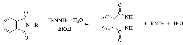 受孕后多长时间有反应