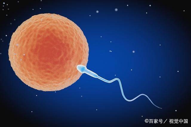 受精卵着床成功需要几天?(成功着床需要几天)