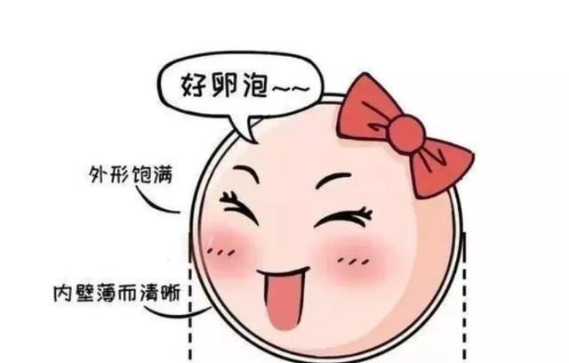 卵泡发育不良怎么调理(排卵泡发育不好怎么办）