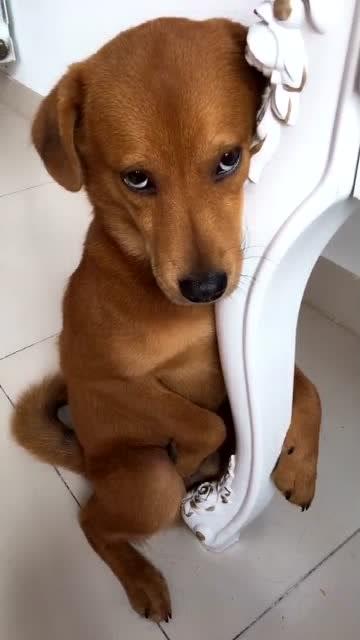 内分泌失调会引起不孕吗？(内分泌导致不孕的原因）