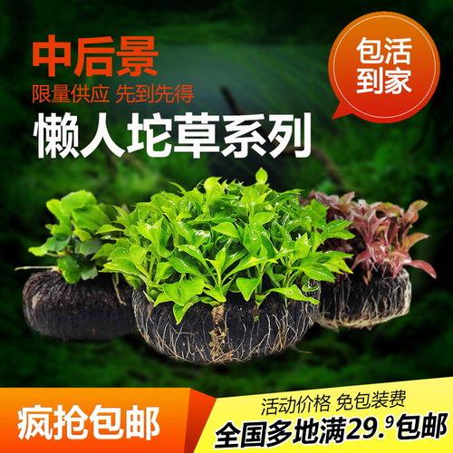 吸烟对男性生育力的影响，你知道有哪些吗？(男性抽烟对生育有多大影响）