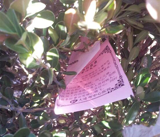 什么叫优生优育专科(本科专科是什么意思啊)