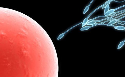 取卵前可以自慰吗自慰要注意哪些？(取卵前的注意事项有哪些）