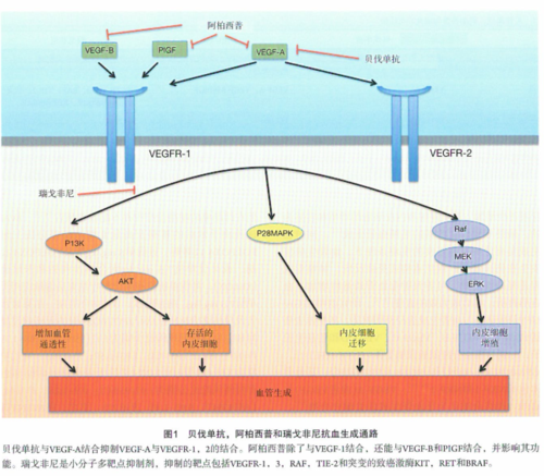 割了痔疮多久可以怀孕(刚做了痔疮手术发现怀孕了）