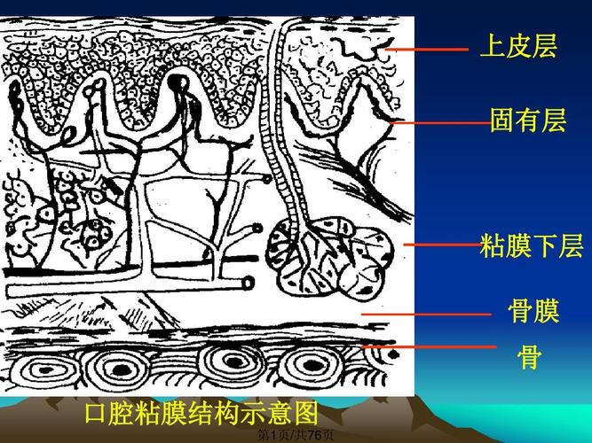 口腔溃疡可以吃老干妈吗(口腔溃疡可以吃牛肉干吗）