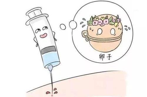 促排的副作用(促排针多少钱一针一般打多久）