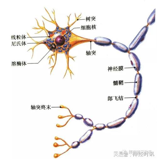 口腔溃疡可以吃甜酒冲蛋吗(经期吃甜酒冲蛋的好处）