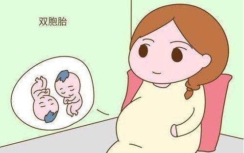 卵泡太大能受孕吗(卵泡发育过大能受孕吗）