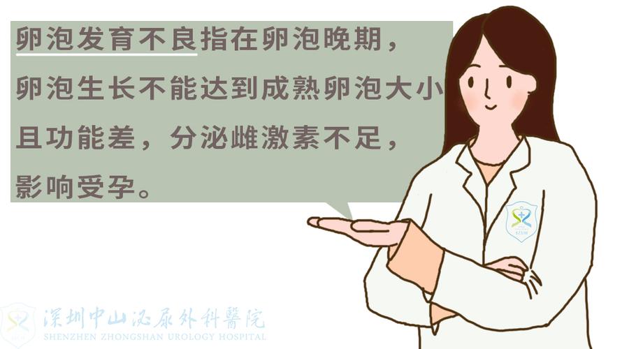 卵泡发育较缓慢影响备孕吗(怎样让卵泡发育的最好）