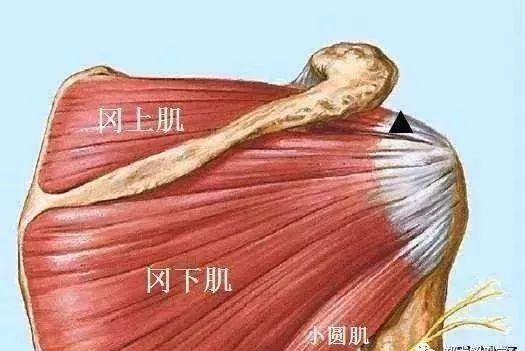 前列腺液是透明的吗你的前列腺液颜色正常吗？(正常前列腺液）