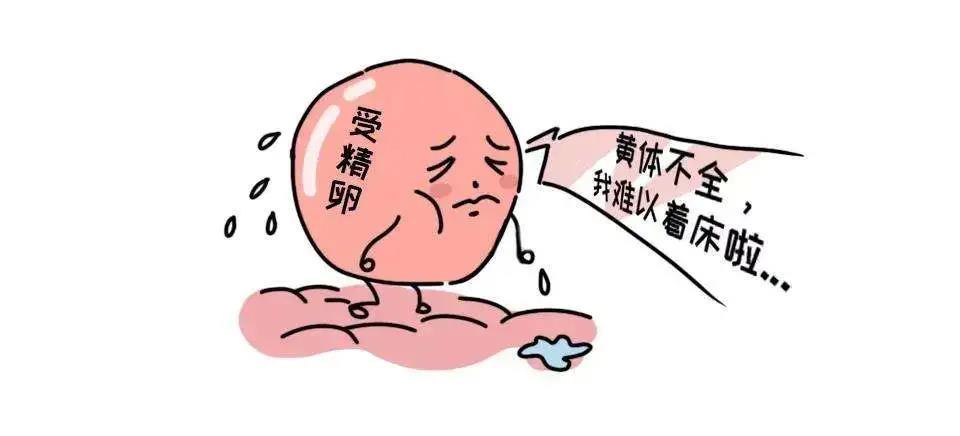 卵泡黄素化的表现(黄素化会一直强阳多久）