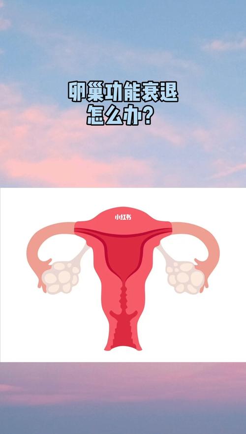 卵巢功能衰退能生育吗(三十多岁卵巢早衰怎么办）