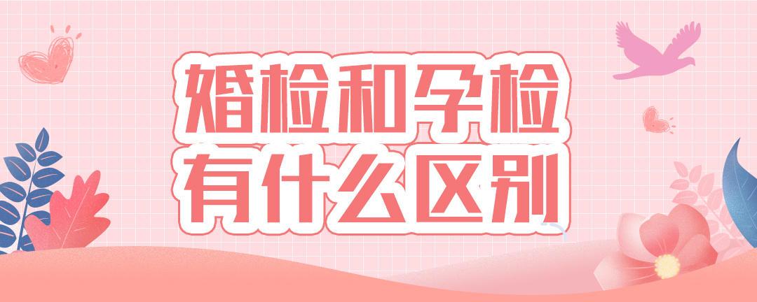 老公备孕需要检查什么(婚检和备孕检查一样吗)
