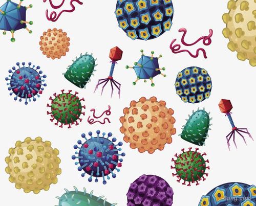 养狗会导致不孕吗(养狗对生育有影响吗）