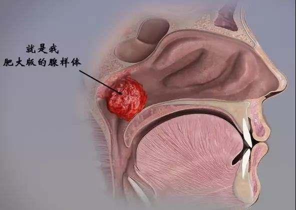 卵巢功能下降能恢复吗(卵巢早衰的8大征兆）