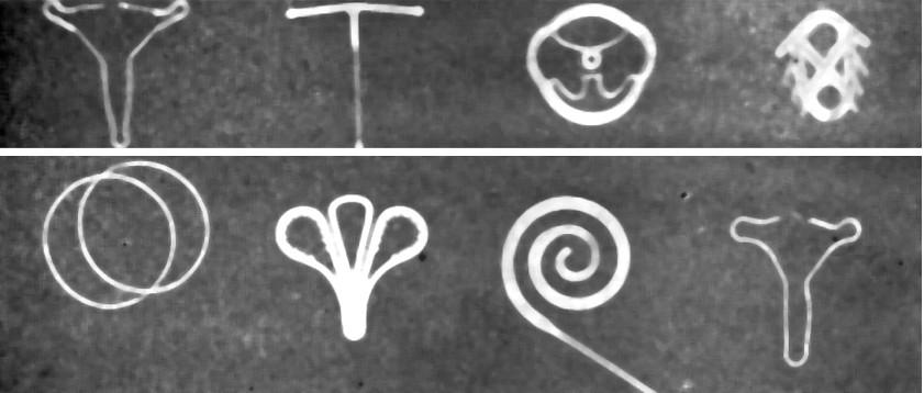 节育环有哪些种类节育环居然有这么多种类(为什么昆虫的种类和数量如此之多）