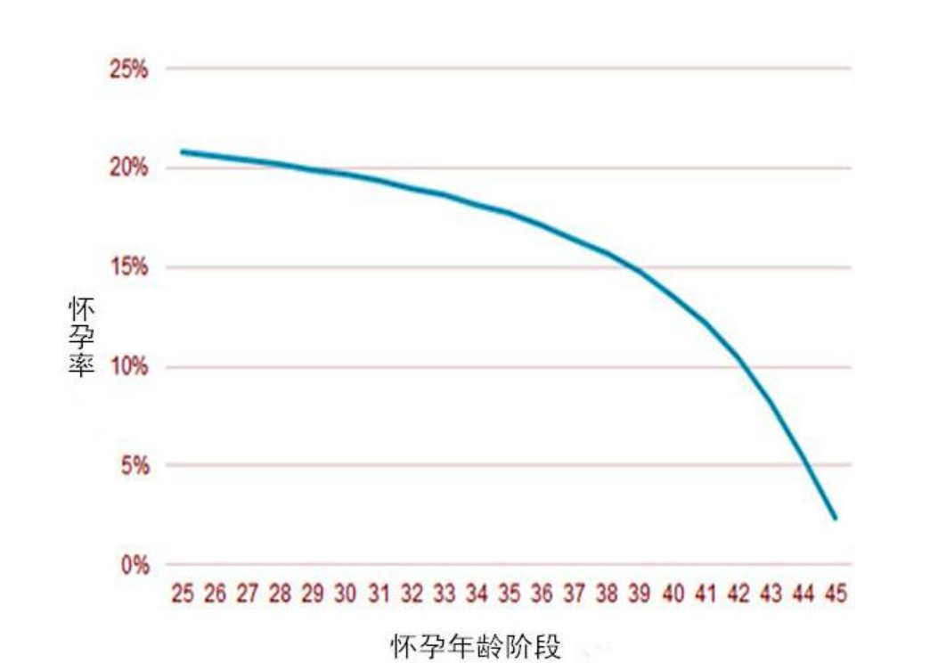 为什么怀孕那么难(一次就能怀上的概率）